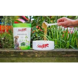 Stiefel Barf zelišča