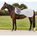 Jahalno pregrinjalo proti insektom Economic, silver grey