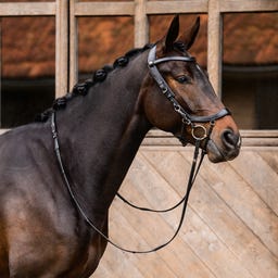 QHP Trense FaySport, schwarz - Pony