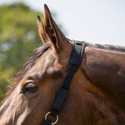 QHP Beweidungsmaske Pelz, schwarz - Shetty
