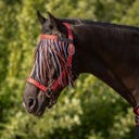 QHP Fliegenfransen Collection, Sunset Red - Shetty