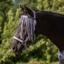 QHP Fliegenfransen Collection, Lavender Haze - Shetty