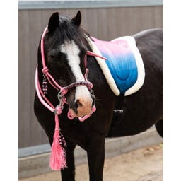 QHP Bareback Pad Rosalynn, Rosa/blau - Shetty