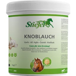 Stiefel Knoblauch - 1 kg