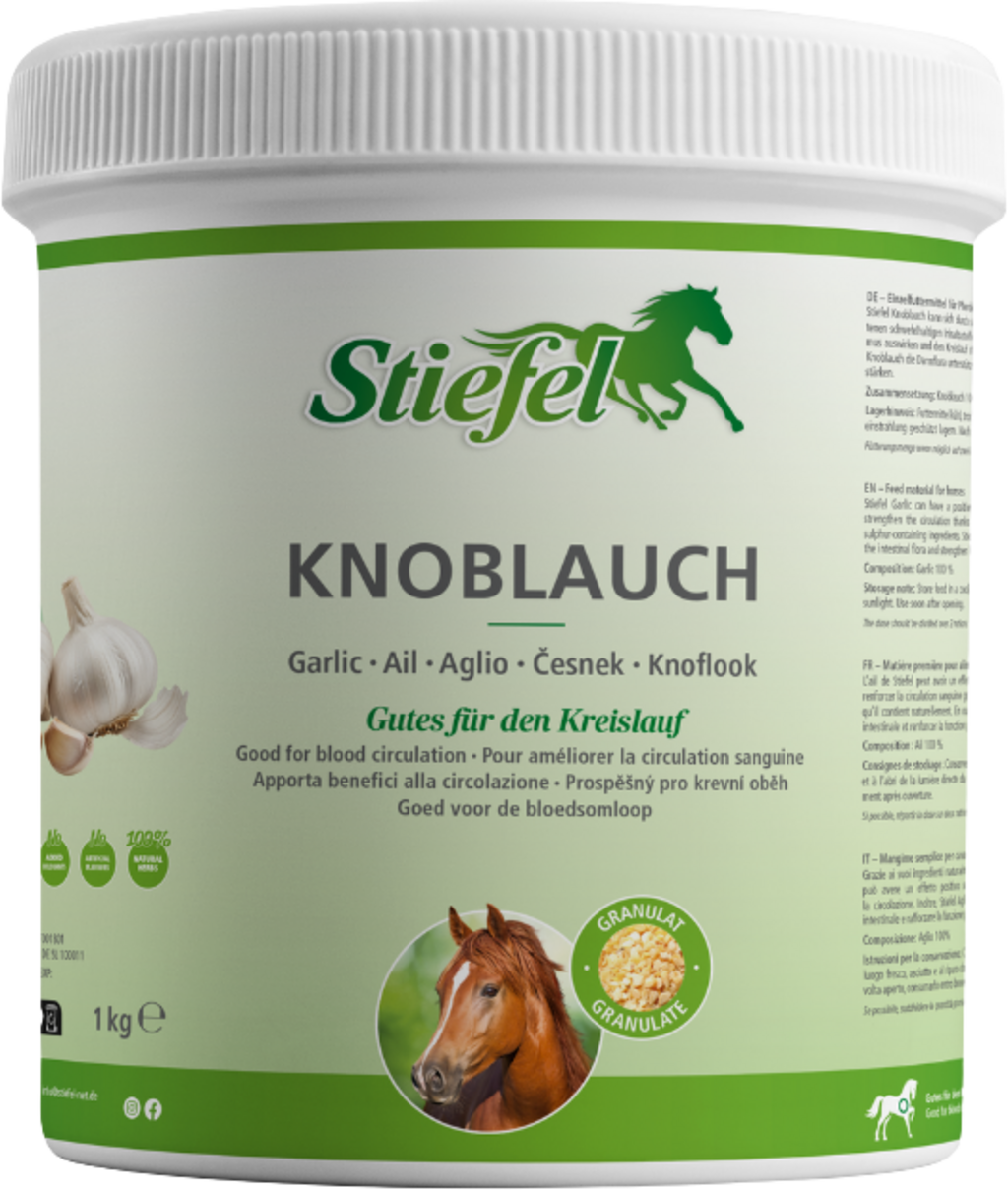 Stiefel Garlic - 1 kg