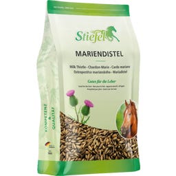 Stiefel Milk Thistle, Whole Seeds