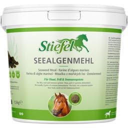 Stiefel Moka iz morskih alg - 1,50 kg