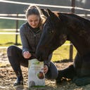 Stiefel Miscela di Erbe per i Reni