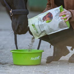 Stiefel Nervenkräuter