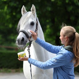 Stiefel RP1 Гел против насекоми