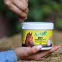 Stiefel RP1 Гел против насекоми