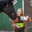 Stiefel Cough Herbal Liquid