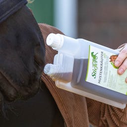 Stiefel Cough Herbal Liquid