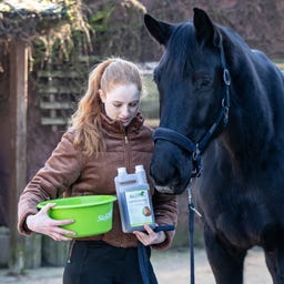 Stiefel Bebida de Hierbas para el Hígado