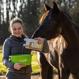 Stiefel Magenkräutersaft