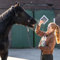 Stiefel Билкова напитка за нервната система