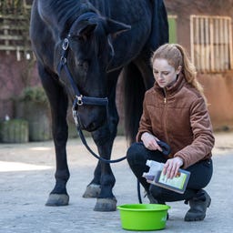 Stiefel Solution à base d'herbes vermifuges
