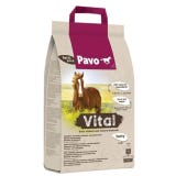 Pavo Vital