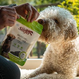 Stiefel Mosselpoeder