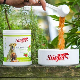 Stiefel Dzika róża w proszku