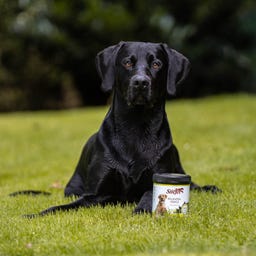 Stiefel Растителен въглен