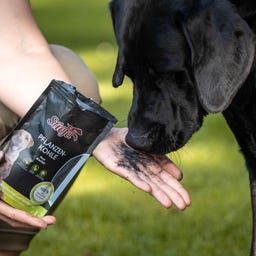 Stiefel Растителен въглен