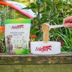 Stiefel Maag-Darmkruiden