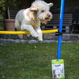 Stiefel Bewegingskruiden