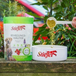 Stiefel Bewegingskruiden