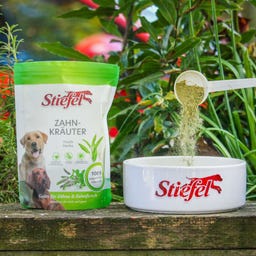 Stiefel Herbes pour les Dents