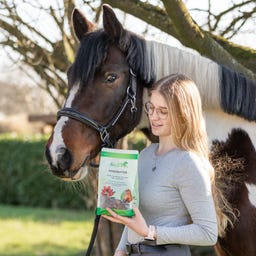 Stiefel Hagebutte ganze Früchte