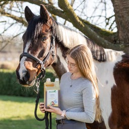 Stiefel Leinöl - 1 l