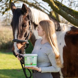 Stiefel Spirulina Pellet