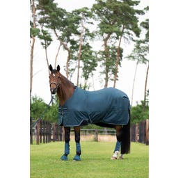 Turnout Rug Waterproof Light, Blu Oceano