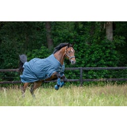 Turnout Rug Waterproof Light, Blu Oceano