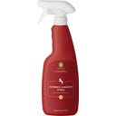 CavaDea Schweif & Mähne Spray bio - 500 ml