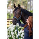 ESKADRON Halfter Sparkle Double Pin, ozeanblau