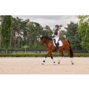 ESKADRON Gamaschen Softshell Jewel, weiß