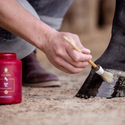 CavaDea Huf Öl bio - 460 ml