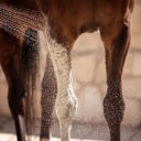 CavaDea Kaolin Paste bio - 850 ml