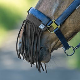 BUSSE Fliegenkordelband Visby NO, schwarz