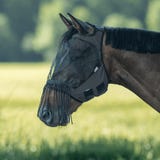 BUSSE Vliegenmasker Fly Guard FR Free - Zwart