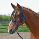 Cavezza da Pascolo con Frange - Royal Blu - 