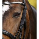 Waldhausen Scheuklappe, klein - schwarz