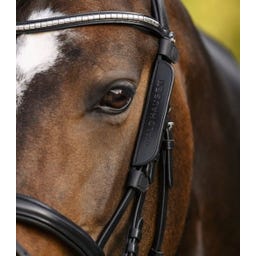 Waldhausen Scheuklappe, klein - schwarz