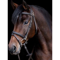 Waldhausen X-Line Trensenzaum Work, braun