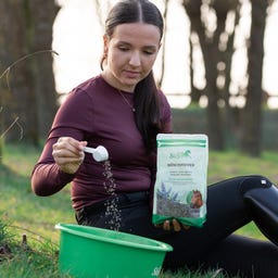 Stiefel Mönchspfeffer, ganze Samen