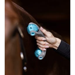 Waldhausen Health + Care Relax Roller