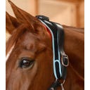 Waldhausen Health + Care Infrared FlexPad