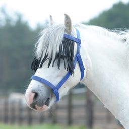 BUSSE Halfter Weide-Fransen, royalblau - SH